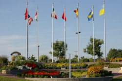 flags multiple